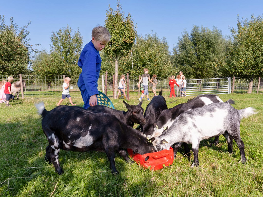 Farmcamps De Buitenhoeve 9
