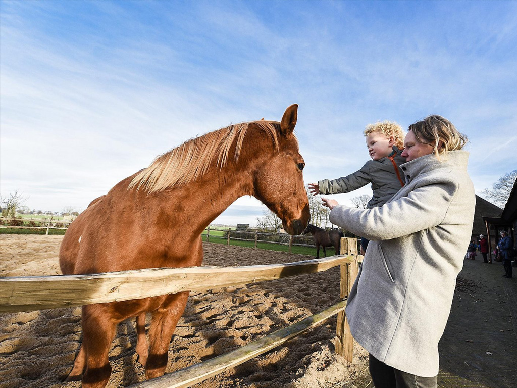 Topparken Residence Lage Vuursche 3