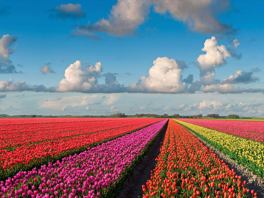 Camping De Carlton 3