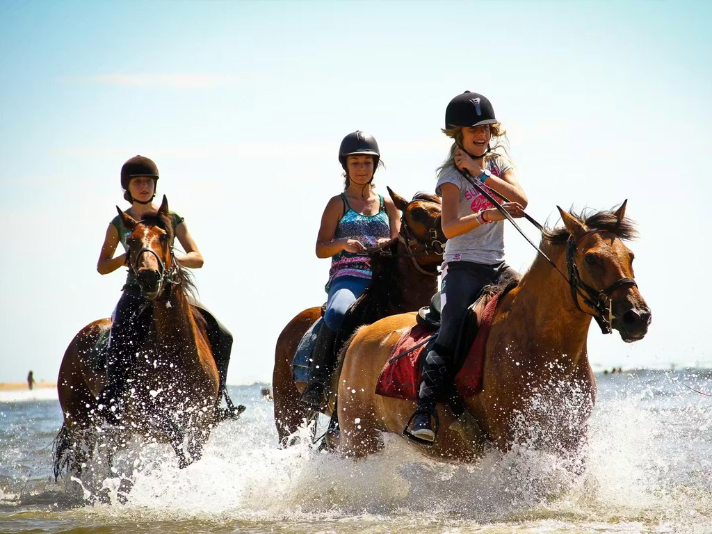 Les Dunes De Contis 9