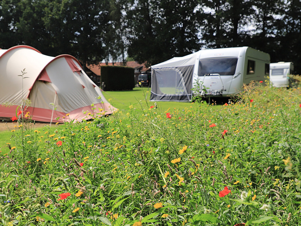 Bourgondisch genieten in de Brabantse Kempen