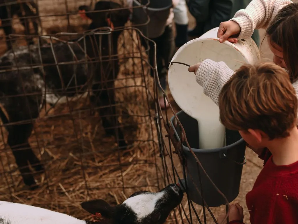 Boerenbed Hoeve Den Overdraght 7