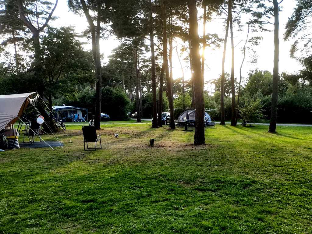 Kampeerplaatsen op Ardoer camping Diana Heide