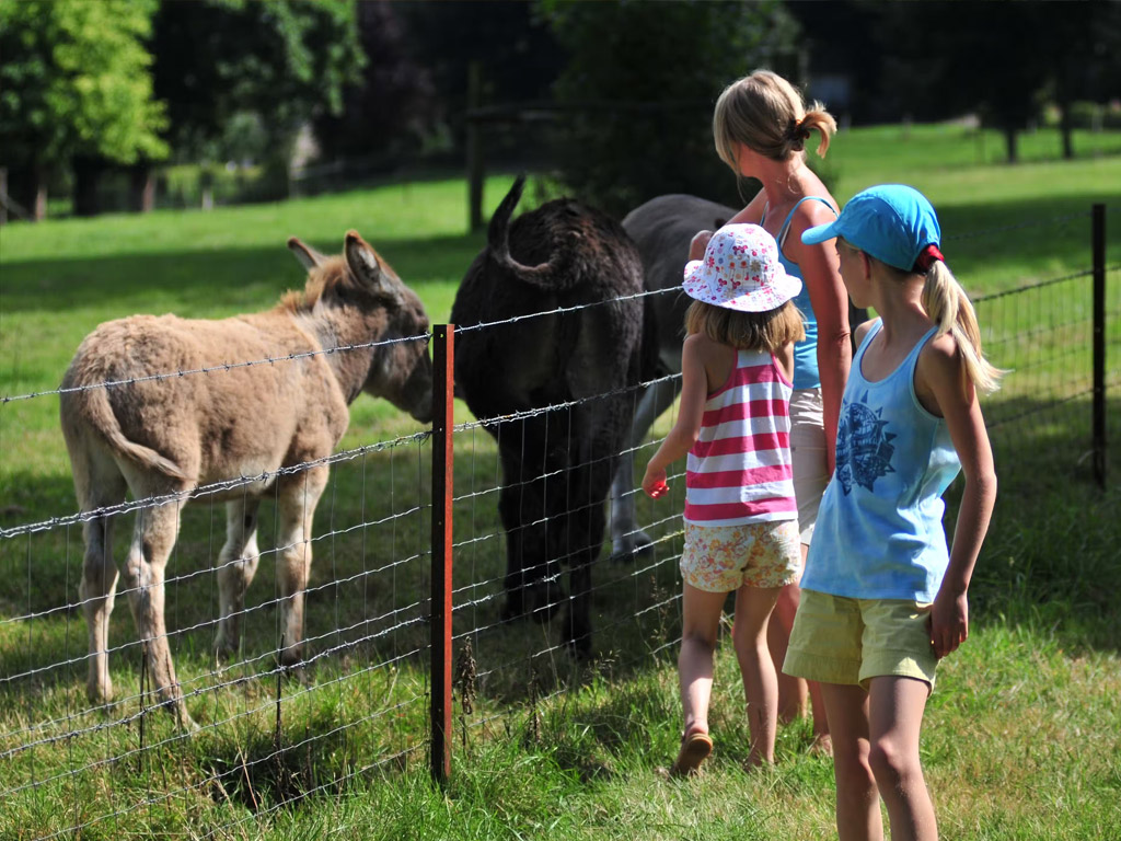Camping Le Clos Cacheleux 4