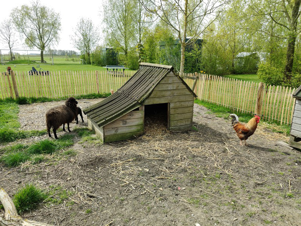 Boerenrustcamping De Kermisrose 2