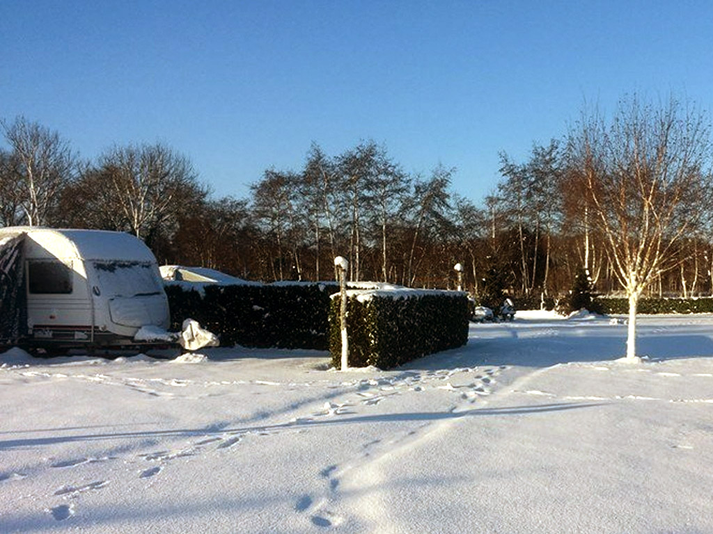 Winterkamperen in Brabant