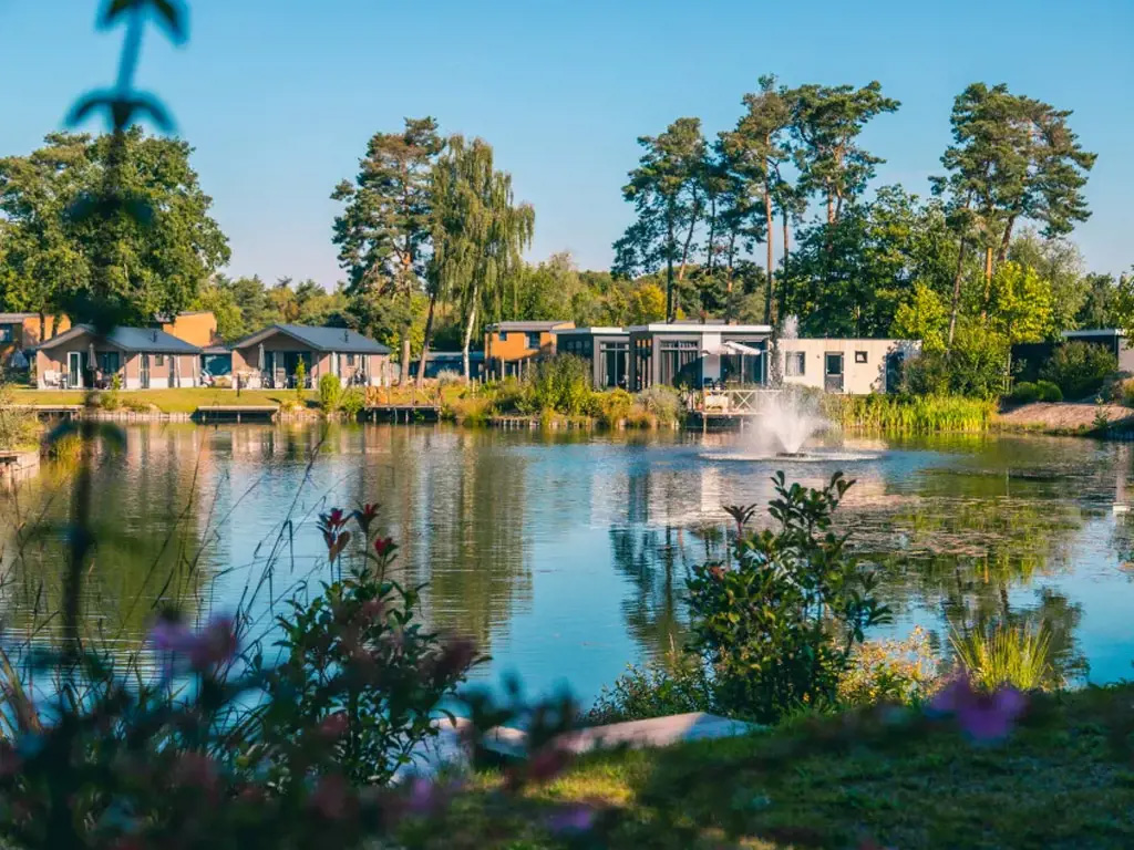 Wit (zilver) zand op het mooie zandstrand bij deze Belgische camping