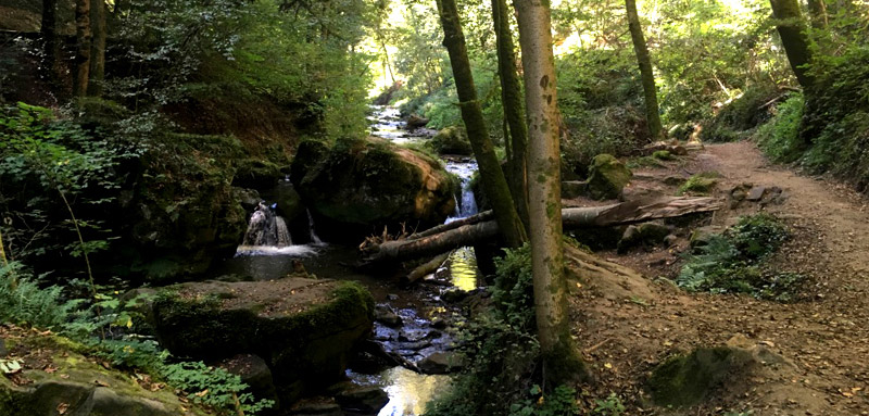 Mullerthal 'Klein Zwitserland'