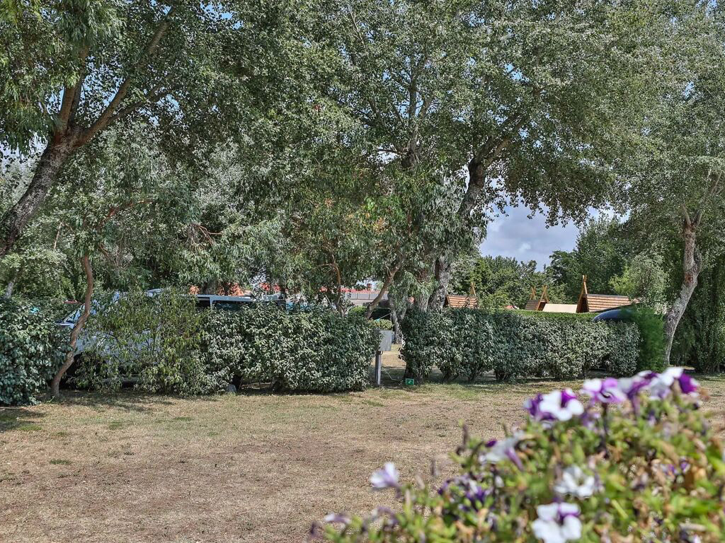 Flower Camping La Diviere Plage 9