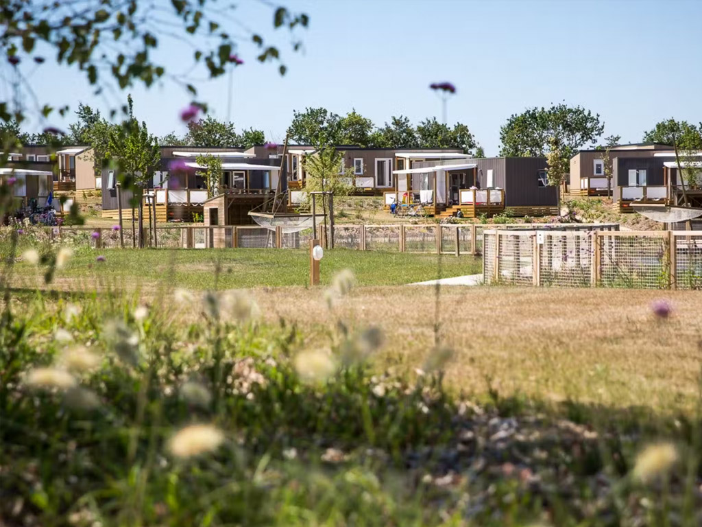 Camping Le Pin Parasol 1