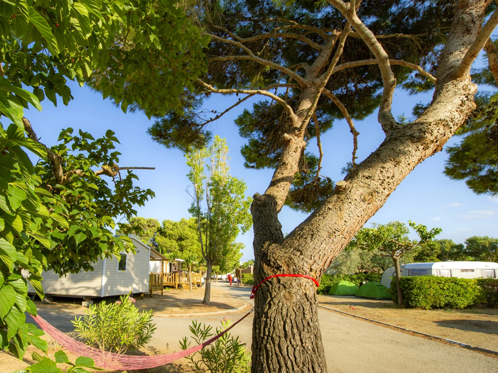 Camping Falaise Narbonne Plage 13