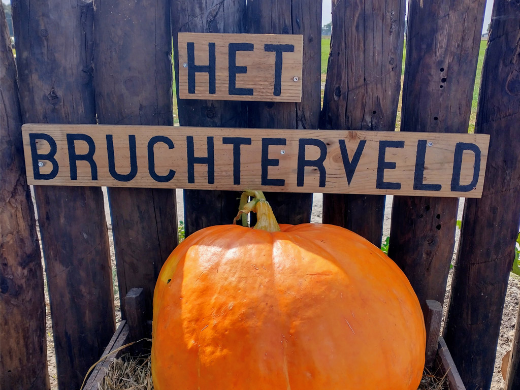 Het Bruchterveld 6