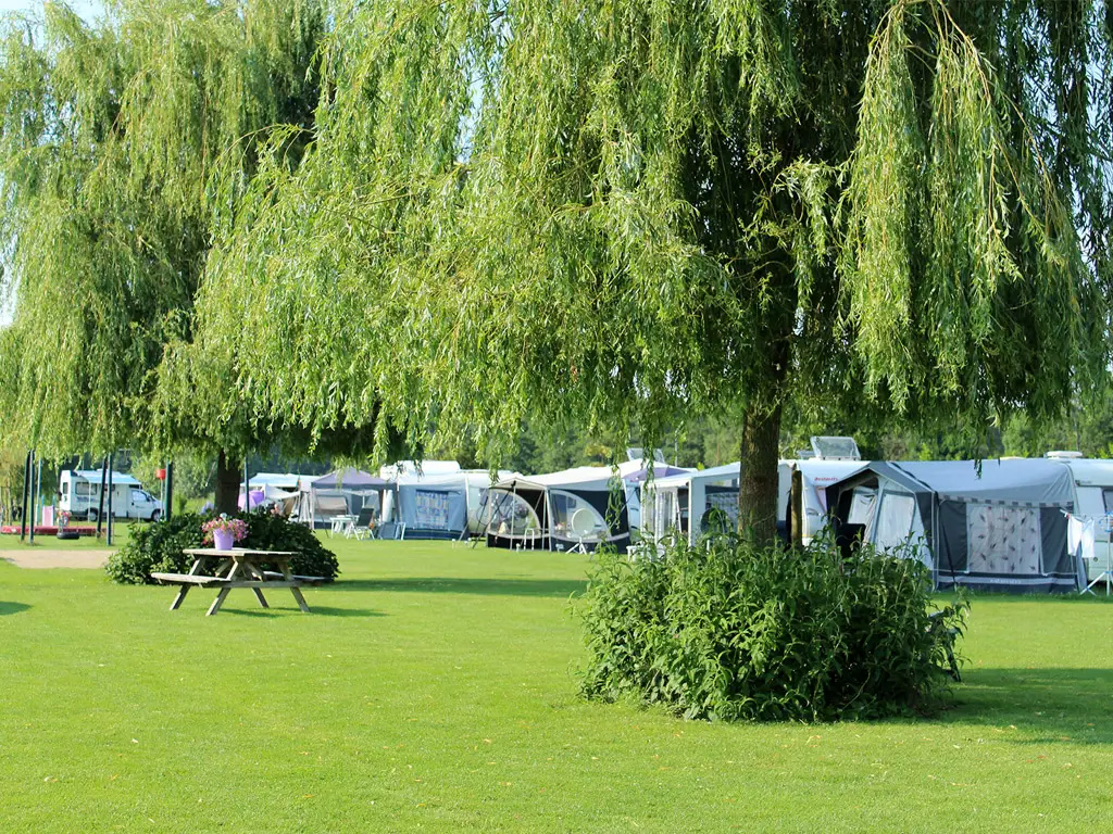 Camping met hondenopvang