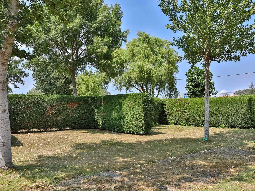 Flower Camping La Diviere Plage 5