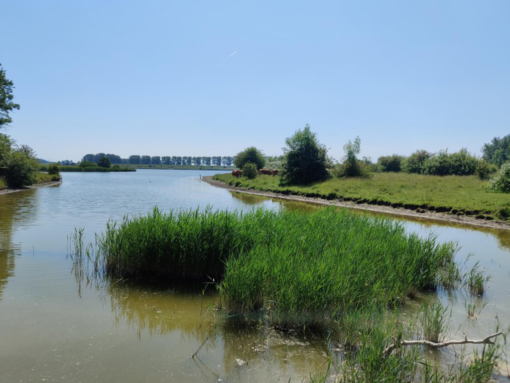 Boerenrustcamping De Kermisrose 5