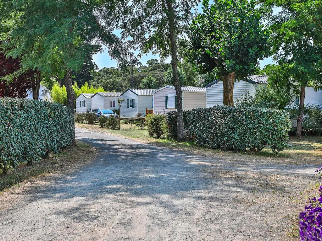 Flower Camping La Diviere Plage 4