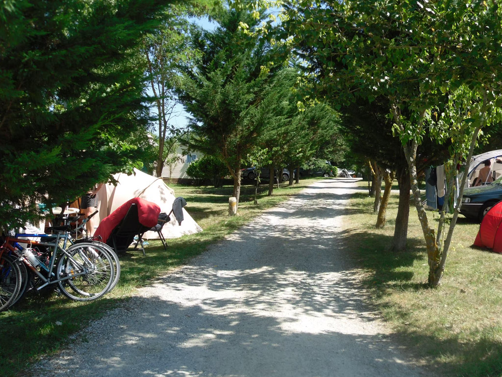 Flower Camping La Pibola 5