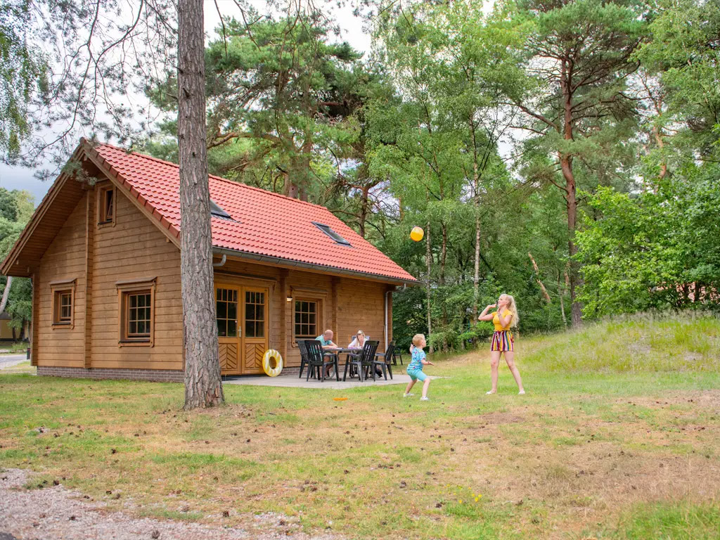 Omarm de winterse sferen in het bos bij Utrecht