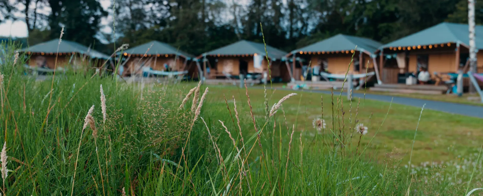 Foto: Vakantiepark Sallandshoeve