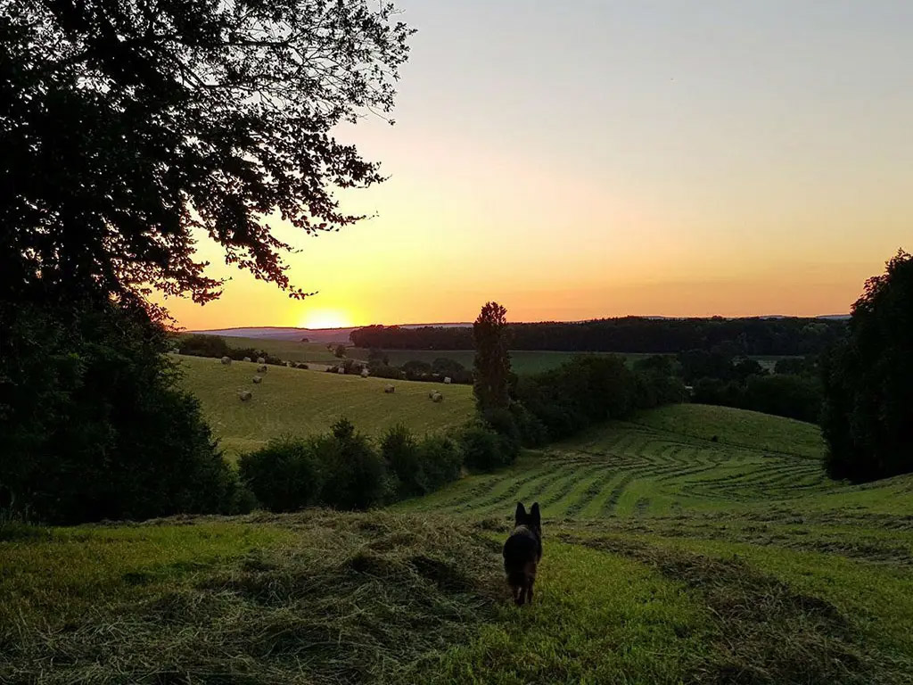 Ideale overnachtingsplek richting het diepe Franse zuiden of Spanje