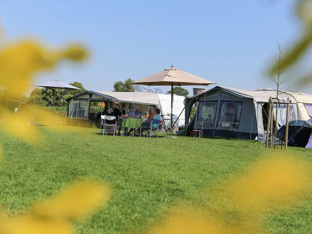 Kampeerdomein in de Belgische Kempen