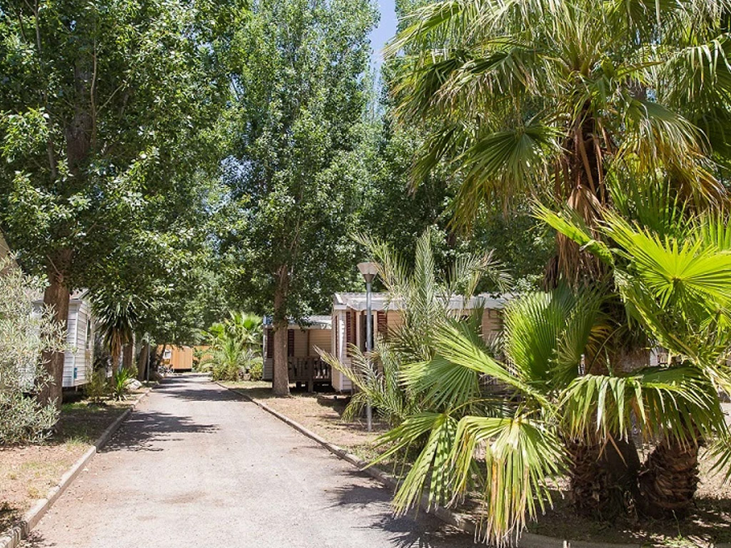 Eden Camping L Etoile De Mer 4