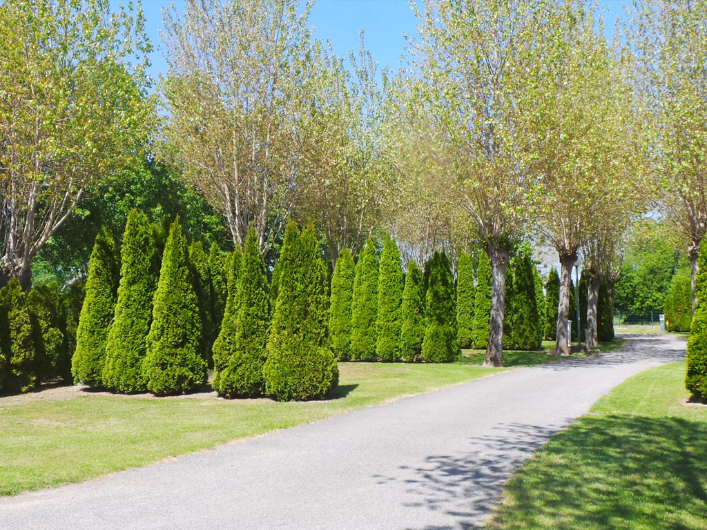 Camping Capfun Route Blanche 3