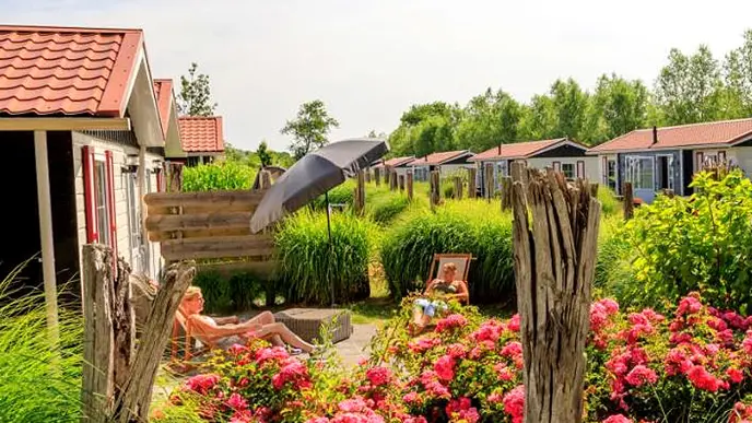 De 20 mooiste campings van Nederland