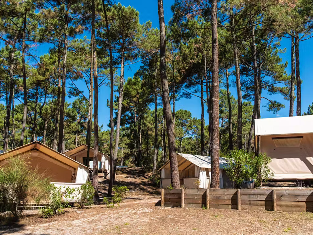 Camping MS Le Vivier 4