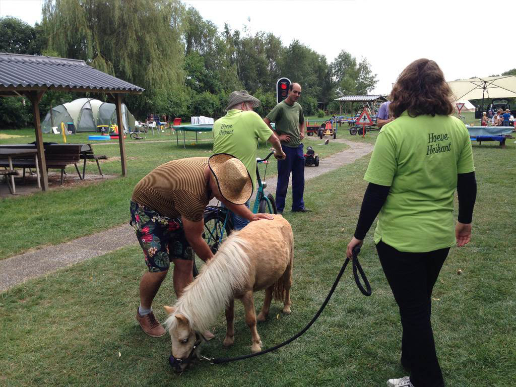 Gek op paarden en pony's? Neem eens een kijkje op minicamping Hoeve Heikant