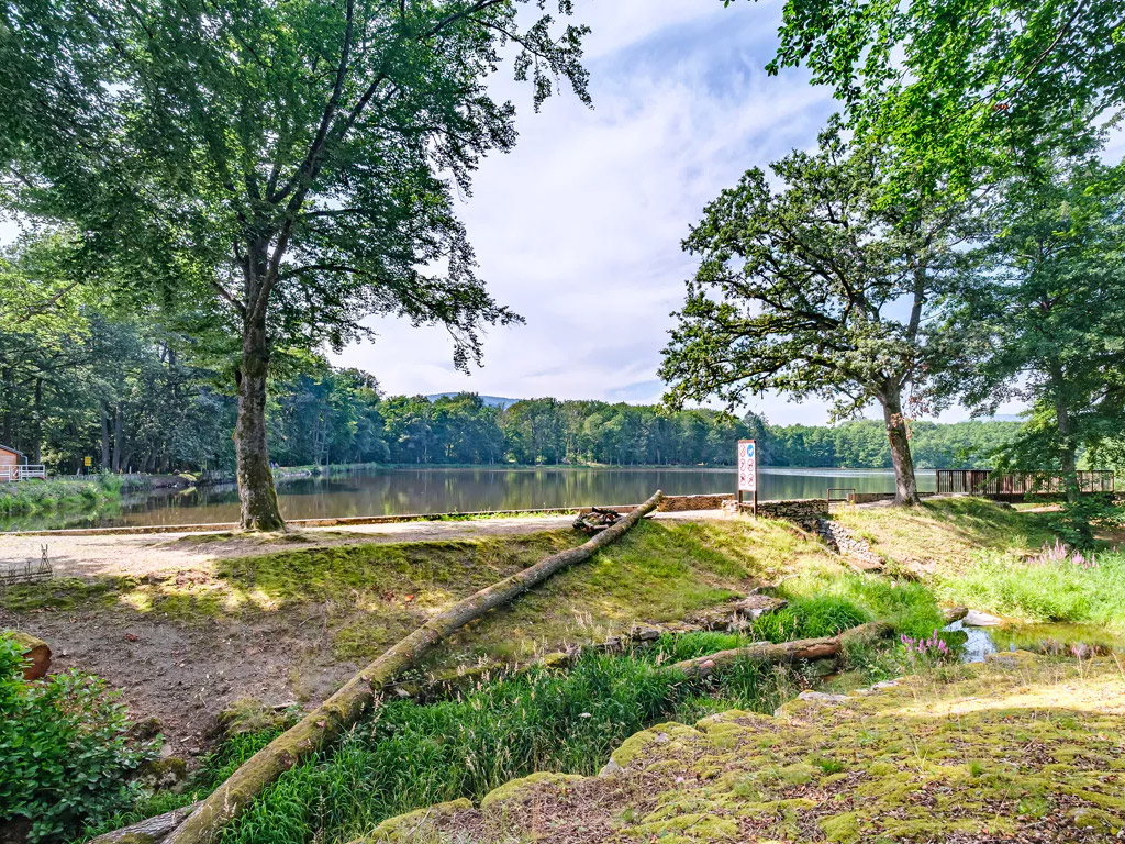Flower Camping Du Lac De La Seigneurie 11