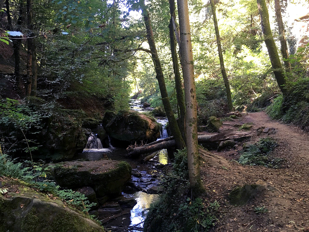 Mullerthal in Luxemburg