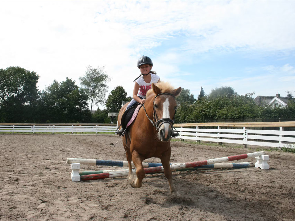 Camping De Vergarde 3