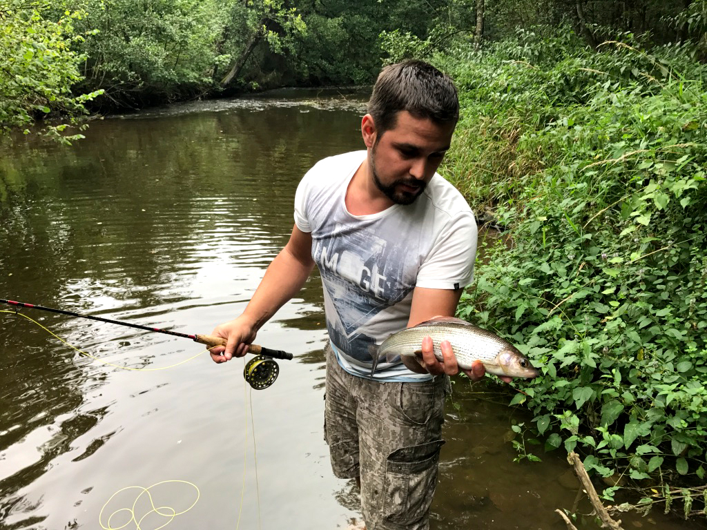 Vlagzalm in een Belgische rivier