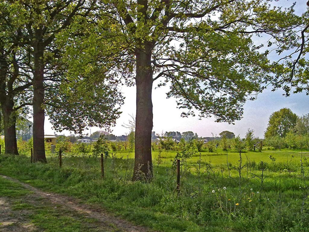 Camping De Graspol 9