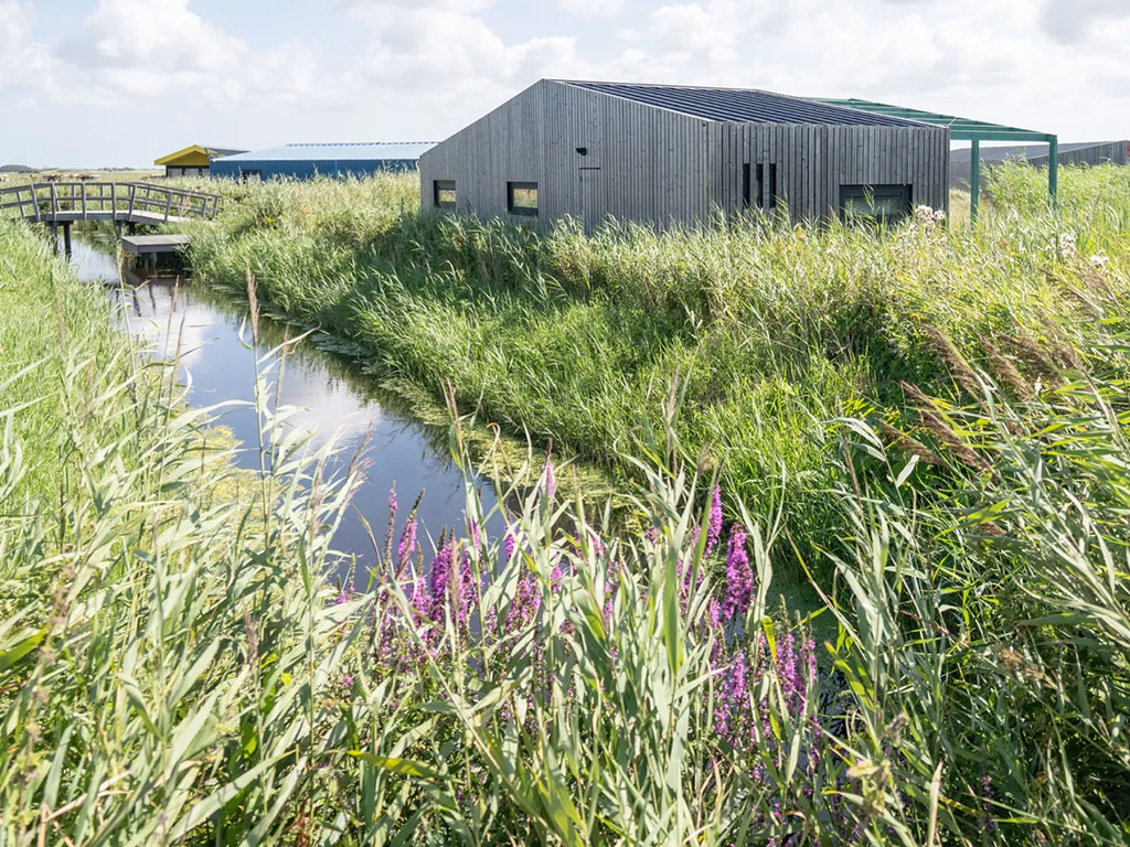 Roompot Callantsoog 2