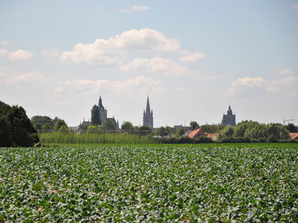 Roompot Breeduyn Village 11