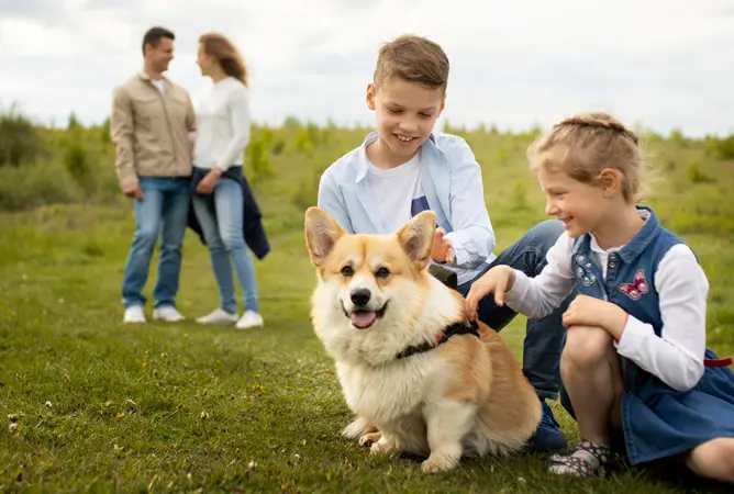 Op vakantie met je hond: zo maak je er samen een topvakantie van