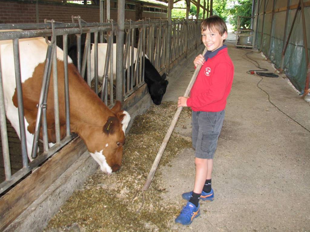 Help je een handje mee op deze boerderij in Zuid-Limburg