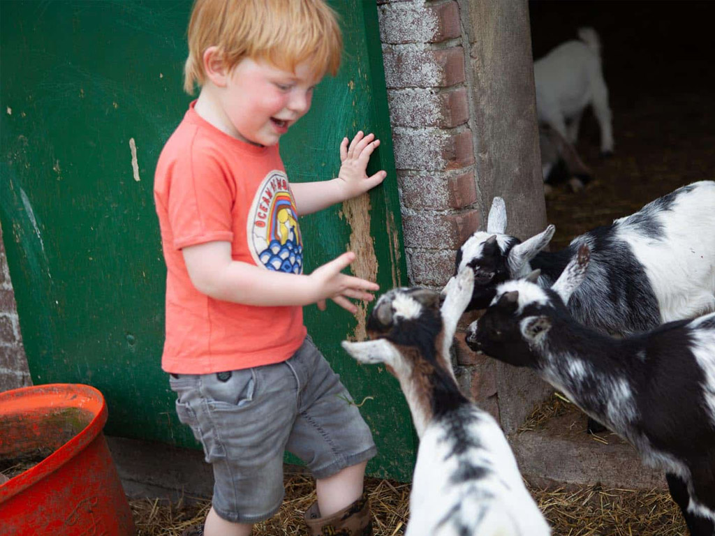 Farmcamps Stolkse Weide 3