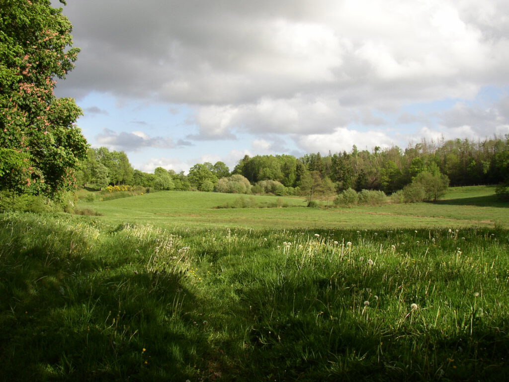 Domaine De Royeres 1