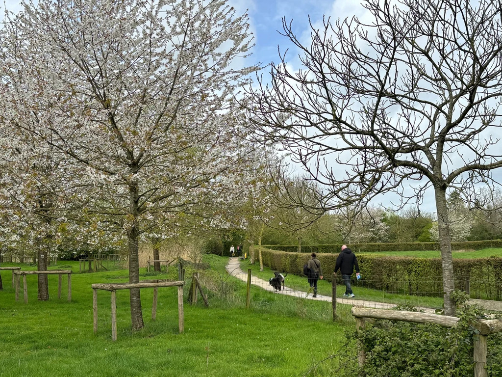 Urban Gardens Ieper 10