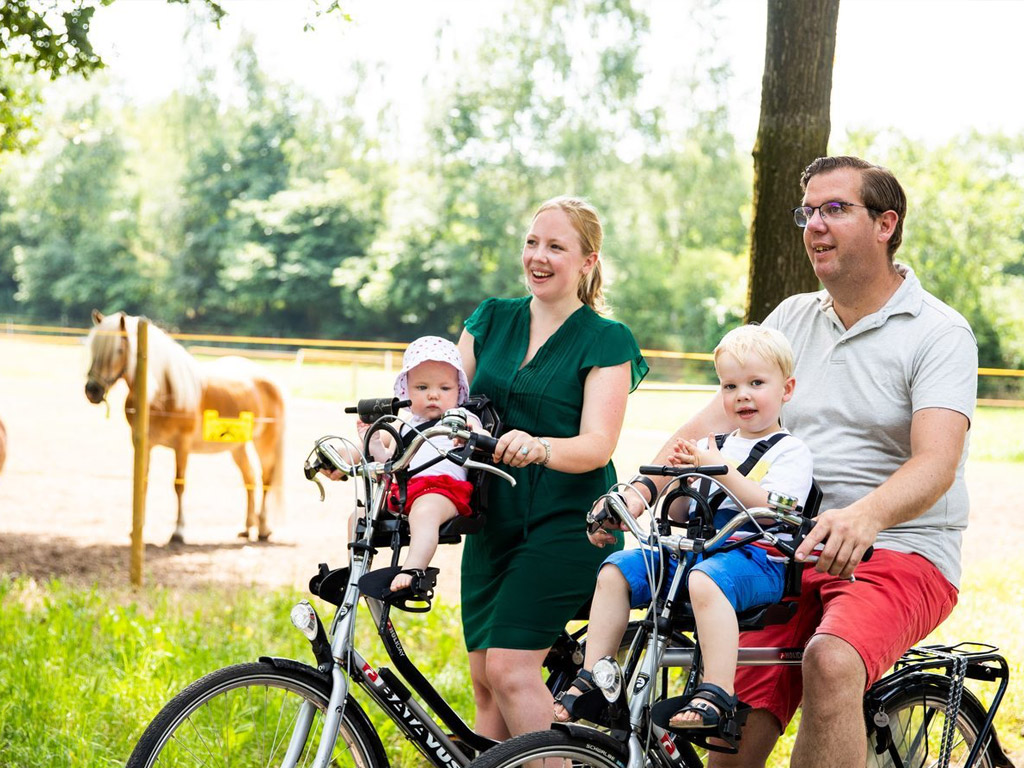 Topparken Residence De Leuvert 3