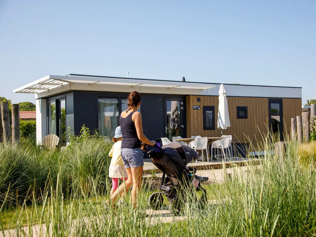 Vier oud en nieuw aan zee op de vuurwerkvrijer camping Camping Zonneweelde