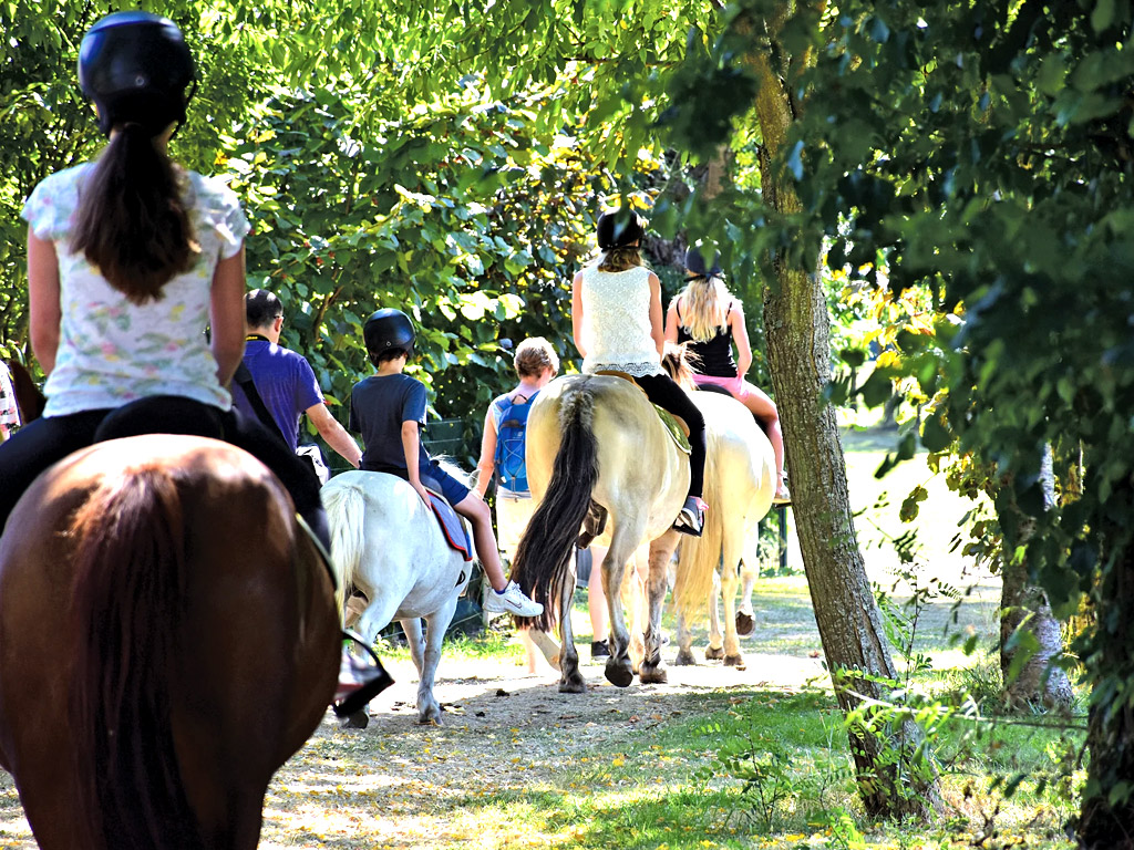 Op deze camping kun je ponyrijden, lessen nemen en dieren verzorgen