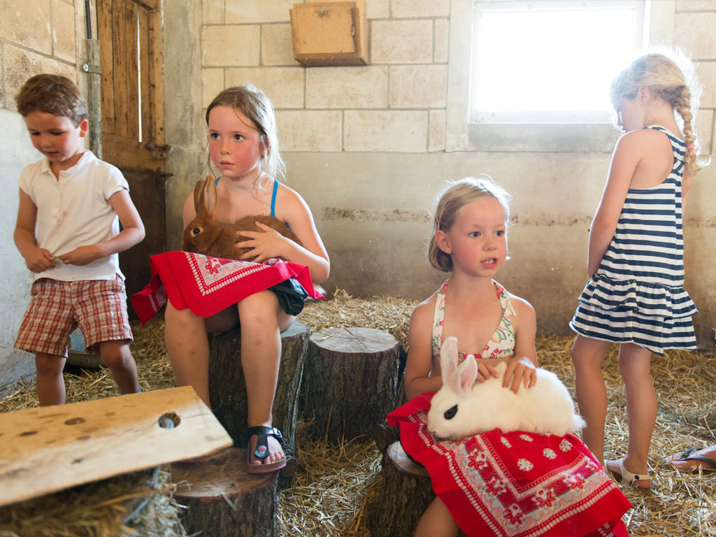 Farmcamps Stolkse Weide 7