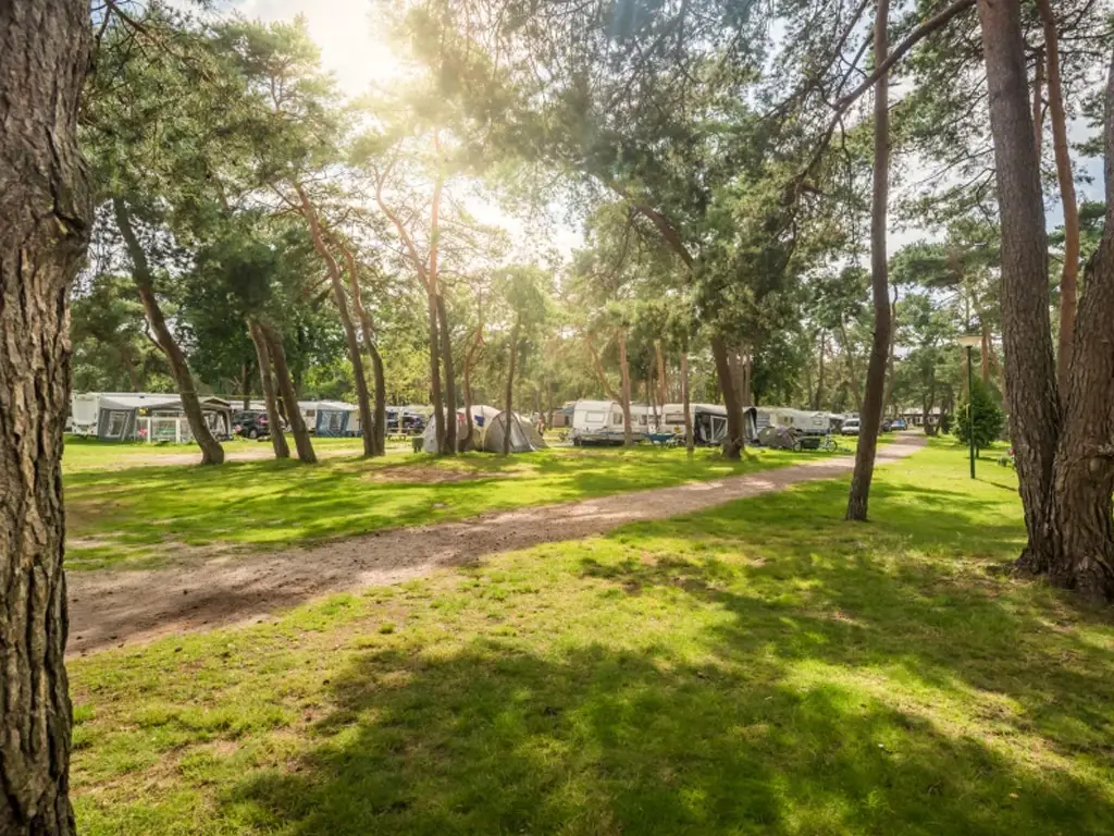 Camping Bos Park Bilthoven 6