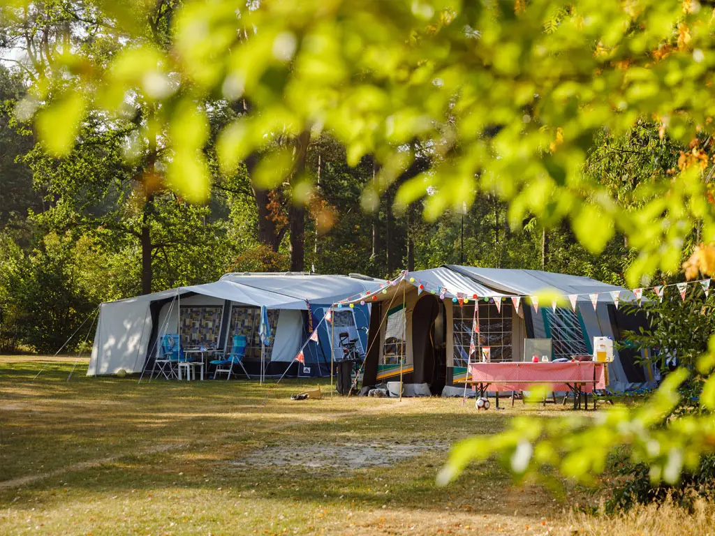 Heerlijke plek in het bos voor je hond