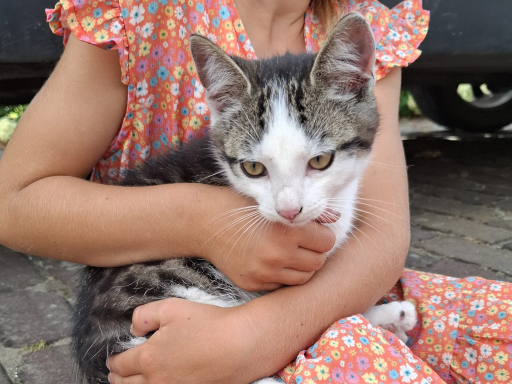 Camping De Westhoek 5