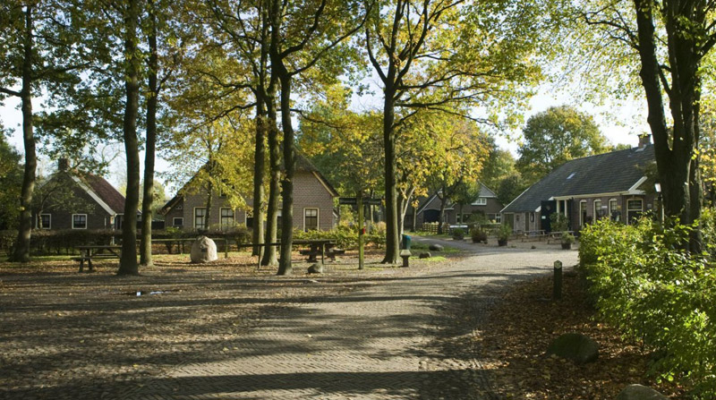Orvelte